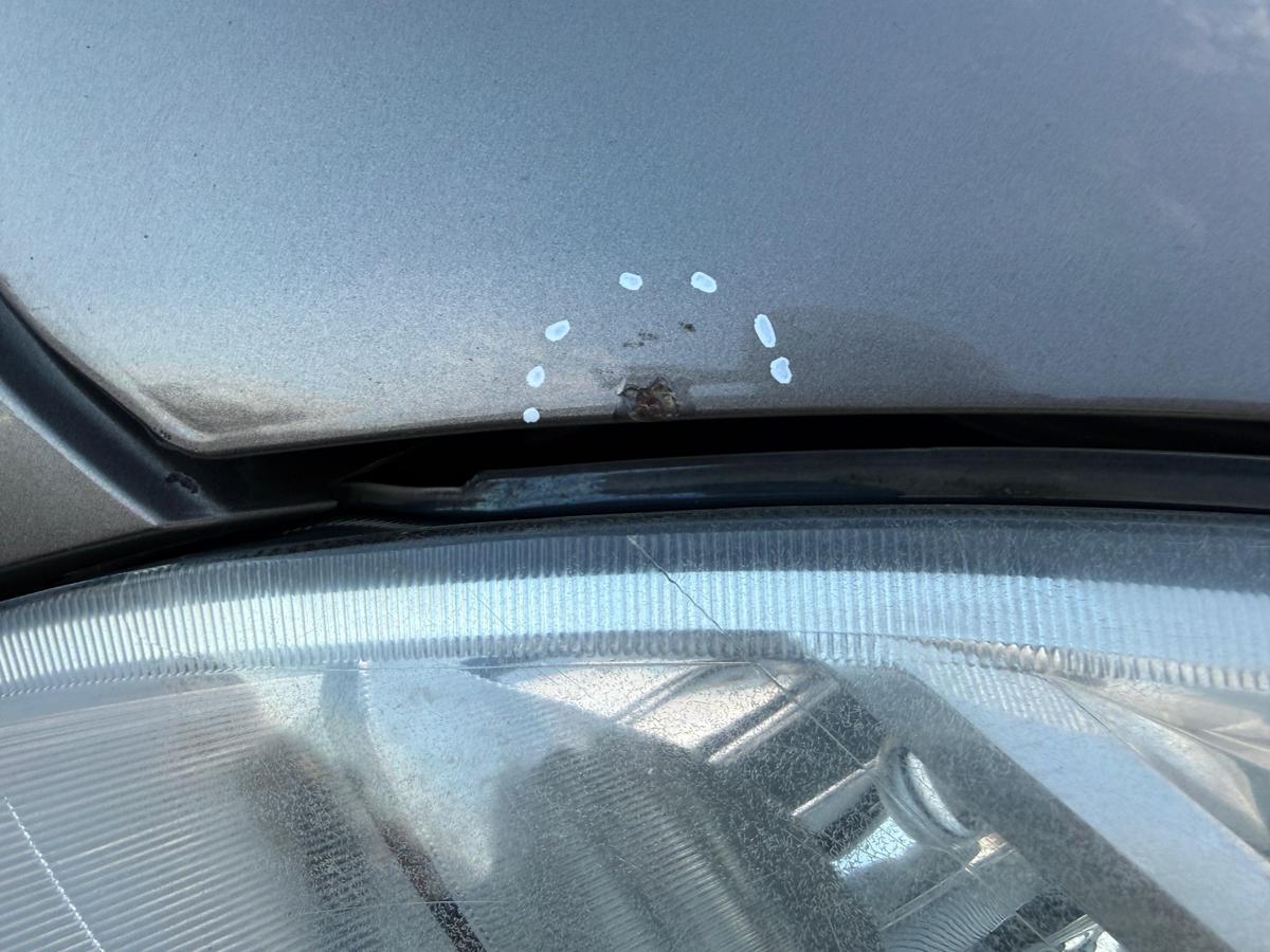 Lancia Musa original Motorhaube 690 Grigio Rossini BJ07